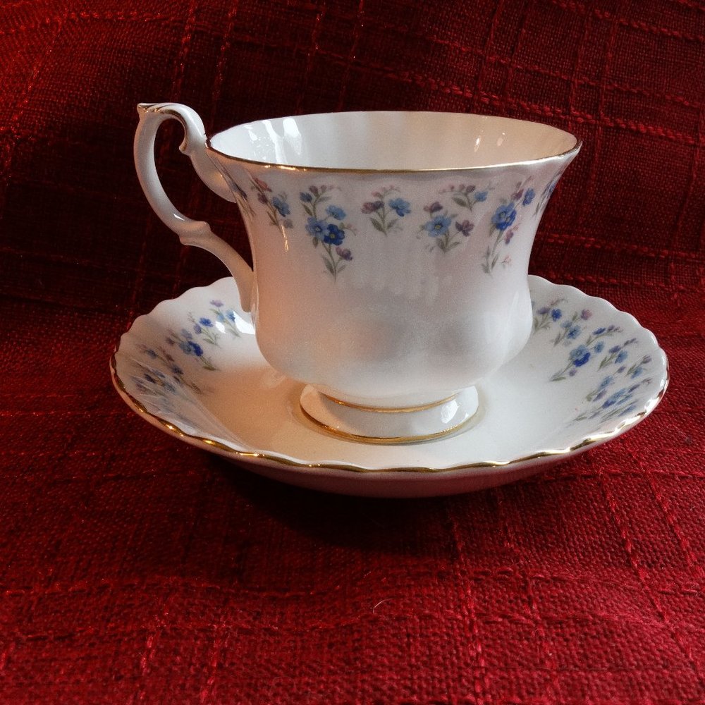 Royal Albert Bone china vintage teacup and saucer, -Memory Lane- made in England